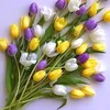 saja_1991_abd