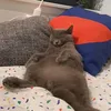 dustycrusty4