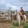 bichodomato72