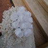 asmaa.abdelhady003