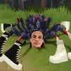 vshardota