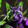 cattusnero