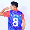 zabihafeez08