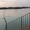 coralrojoclarito