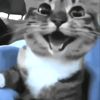 gus_ark