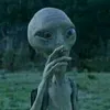 mother.fucker06