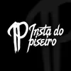 Insta Do Piseiro