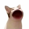 mr_kukushechkaa