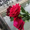 shamimalkhafaji