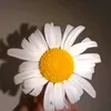 amirm6