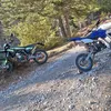 kev_2206