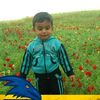alsalimyoussef3