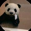 limitex.com