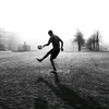 The Spinner