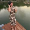 aubrey_haller