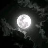 sh_m276
