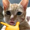 helohowa0