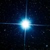 shine_bright_starlight
