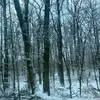 unbekant.gsn_34