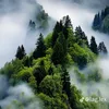 nguyenthetruong19