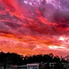 henriquebrito570