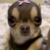 cherryky11