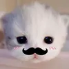 _imewyou
