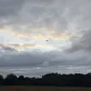 ryanvirb15