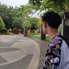 hamm_288