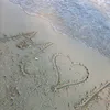 tasneemalmsri