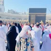 Razya🧬