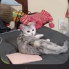 _bbikkhok125