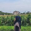 henimeilianp