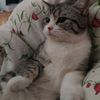 user02992w09283