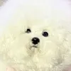 sooby.in