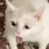 xxsmokyyyyxx