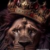 ahmedbenamor040