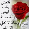 loola183