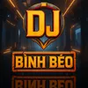 binh_beo_1990