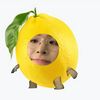 miatiny_