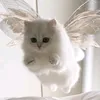 gaaiko