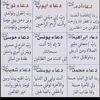 user4356837936219