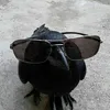 crow.in.disguise