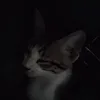 bfshoyou