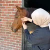 zebarry23
