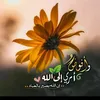 adil.anisser