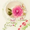 sanaa.omran8