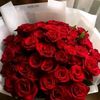 amiegumam