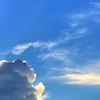 prsttsw