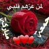 user5278813567036